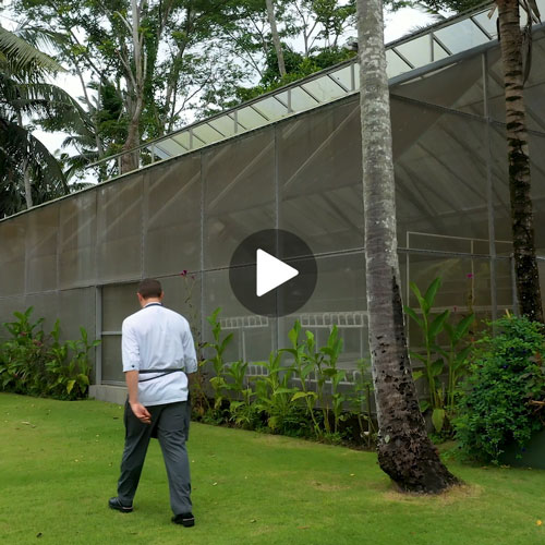 Apéritif Greenhouse
