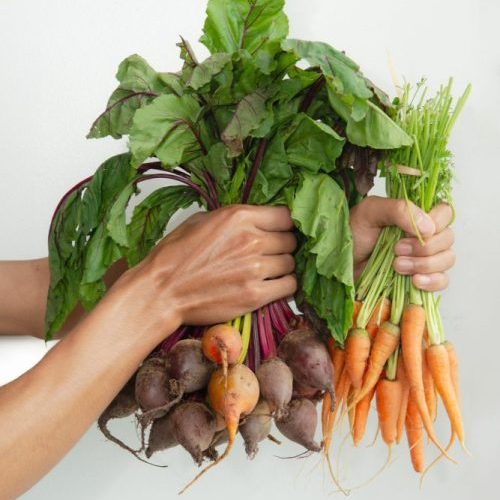 A women holding the finest plant based ingredients