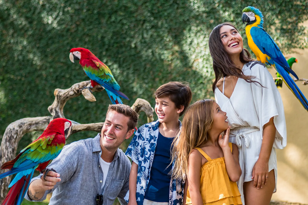 A family posing with macaw birds in Bali