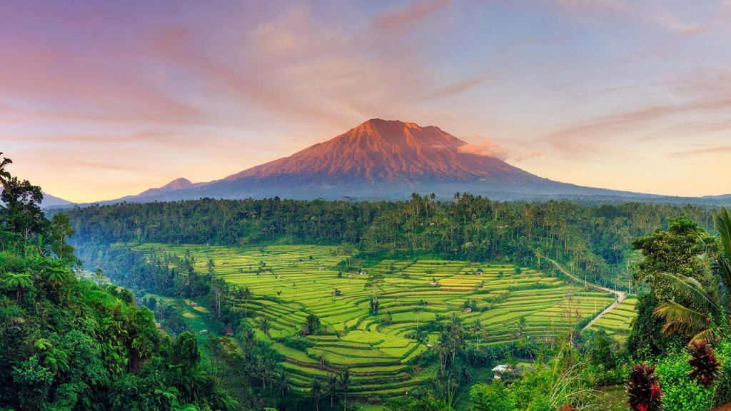 A rice terrace looking on to a mountain in Bali