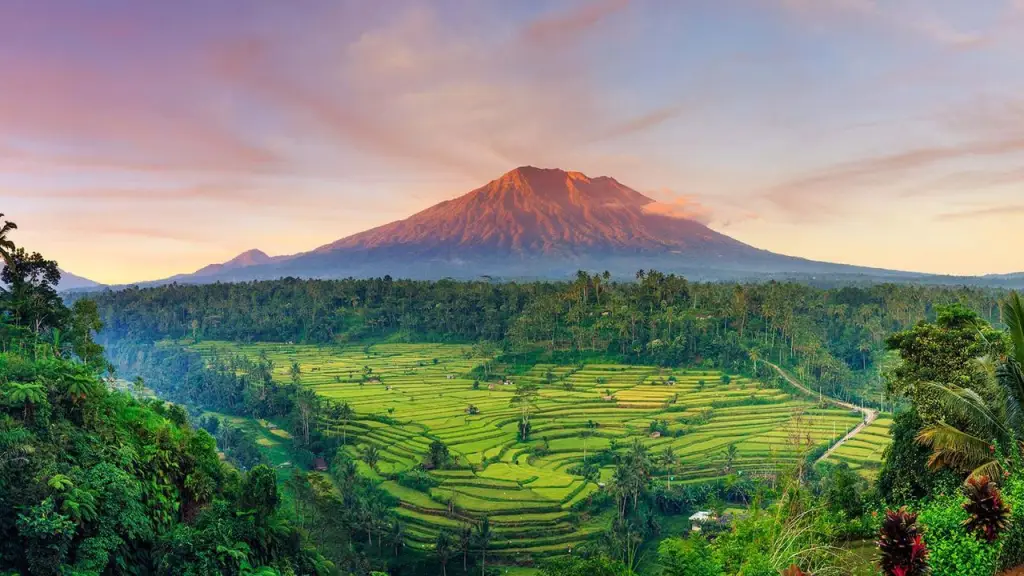 A rice terrace looking on to a mountain in Bali