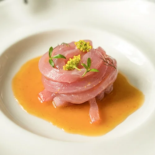 Apéritif Food - Tuna